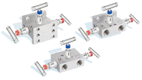 3 Valve Manifolds