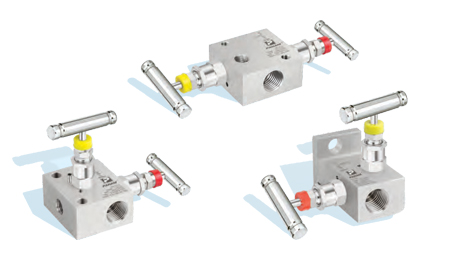2 Valve Manifold