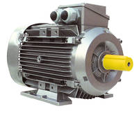 Asynchronous Motors