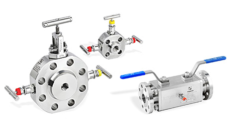 Double Block and Bleed Valves