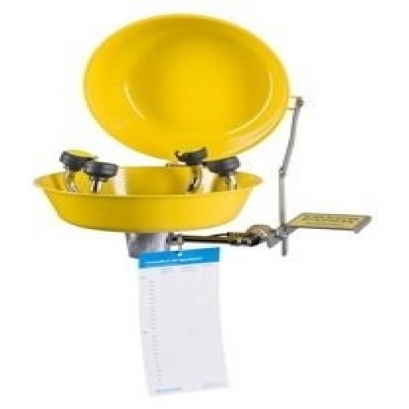 Wall mount safety eyewash station