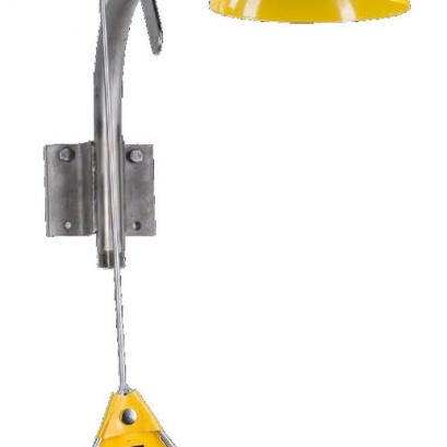 Wall mount safety shower