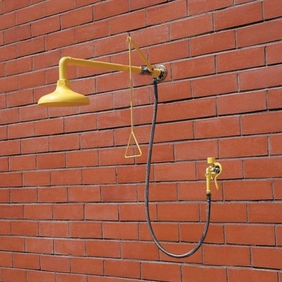 Wall mount safety shower