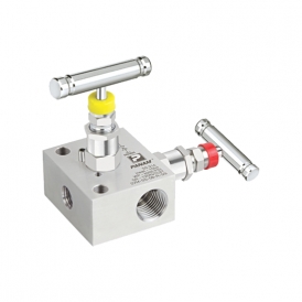 Panam 2 valve manifold