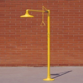 Pedestal safety shower