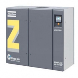 Variable speed screw compressor (stationary)