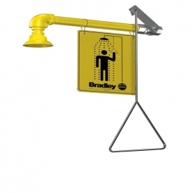 Wall mount safety shower