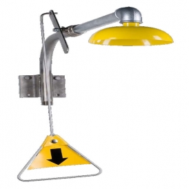 Wall mount safety shower