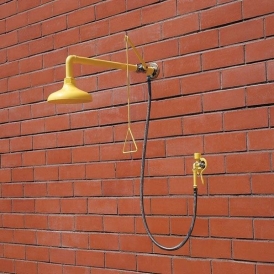 Wall mount safety shower